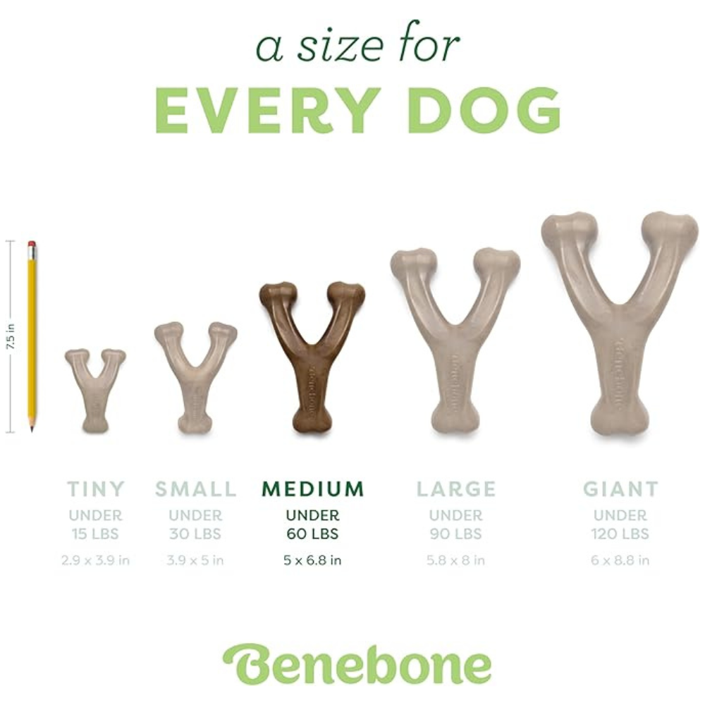Durable Wishbone Dog Chew Toy for Aggressive Chewers, Tough Nylon Dog Toy, Cleans Teeth & Lasts Longer for Power