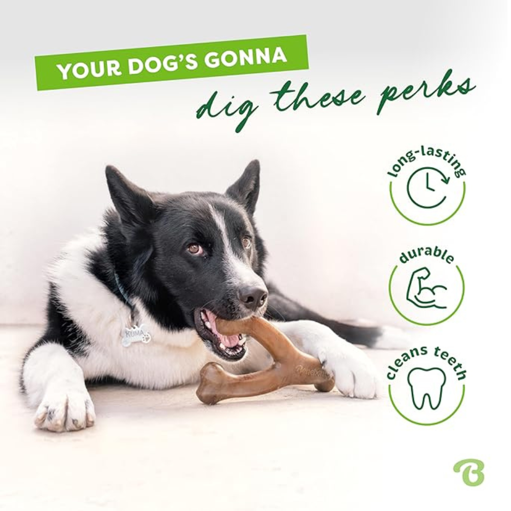 Durable Wishbone Dog Chew Toy for Aggressive Chewers, Tough Nylon Dog Toy, Cleans Teeth & Lasts Longer for Power