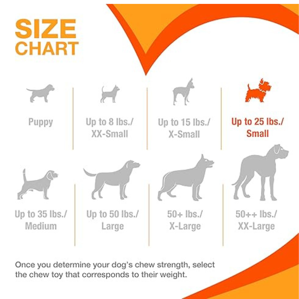 Power Chew Nylon Bone Variety Pack, Durable Nylon Dog Bones, Textured Dental Chews for Small Breeds, Long-Lasting Dental Toys for Aggressive Chewers