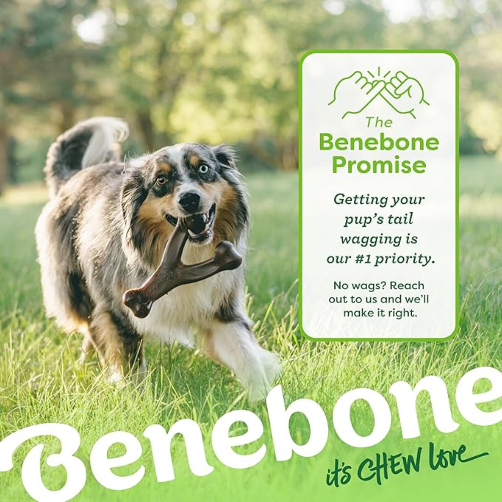 Durable Wishbone Dog Chew Toy for Aggressive Chewers, Tough Nylon Dog Toy, Cleans Teeth & Lasts Longer for Power